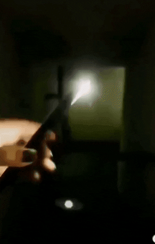 giphy.gif